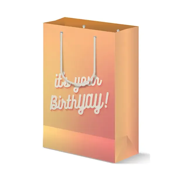 Birthyay Gift Bag