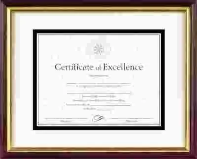 Document/Certificate Frame W/Mat Laminated Wood 11 X 14 Mahogany/Gold Leaf