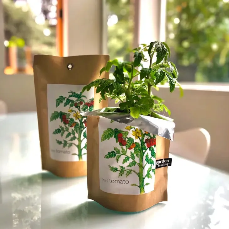 Garden in a Bag | Tomato