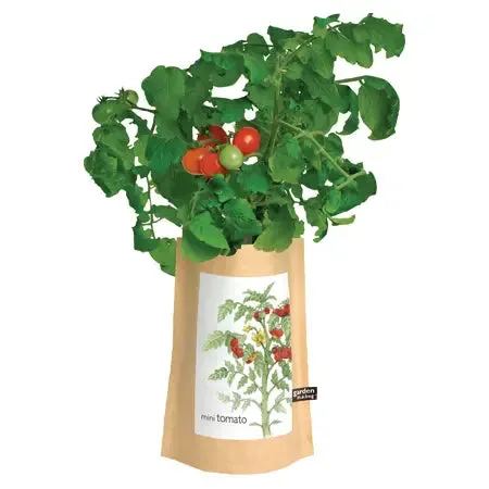 Garden in a Bag | Tomato