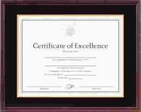 Hardwood Document/Certificate Frame W/Mat 11 X 14 Mahogany