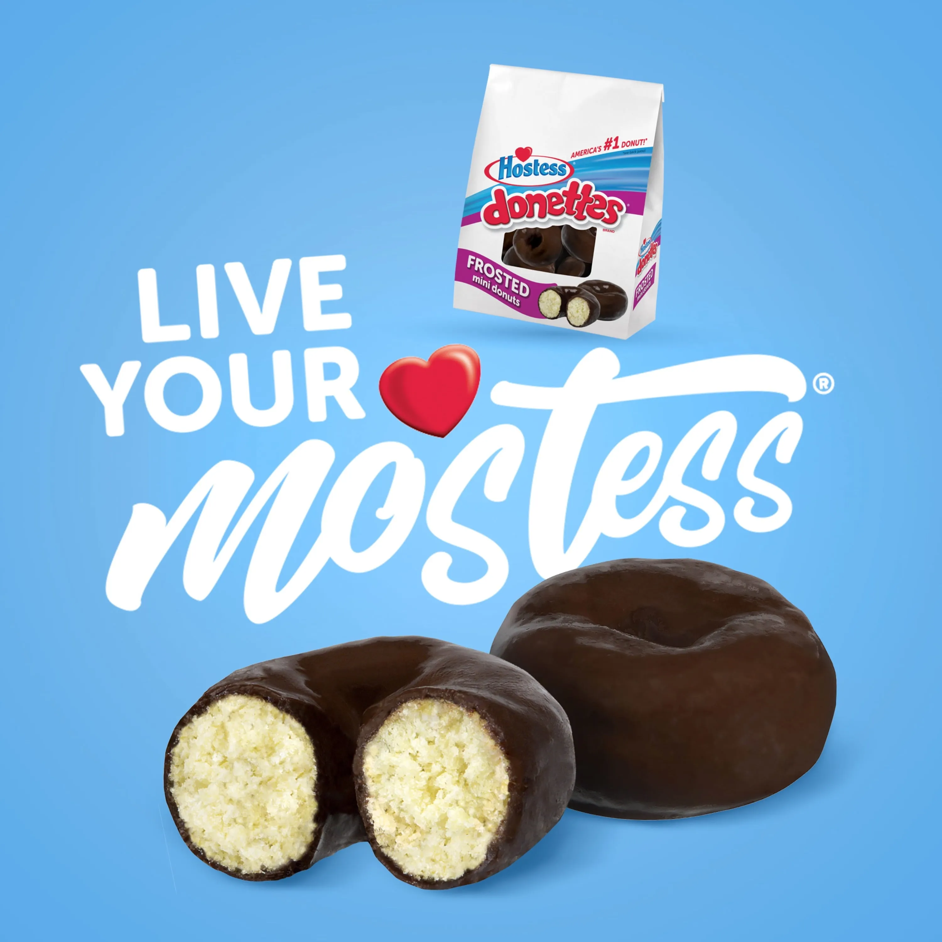 HOSTESS Frosted Mini DONETTES Bag, Chocolate Mini Donuts - 10.75 oz