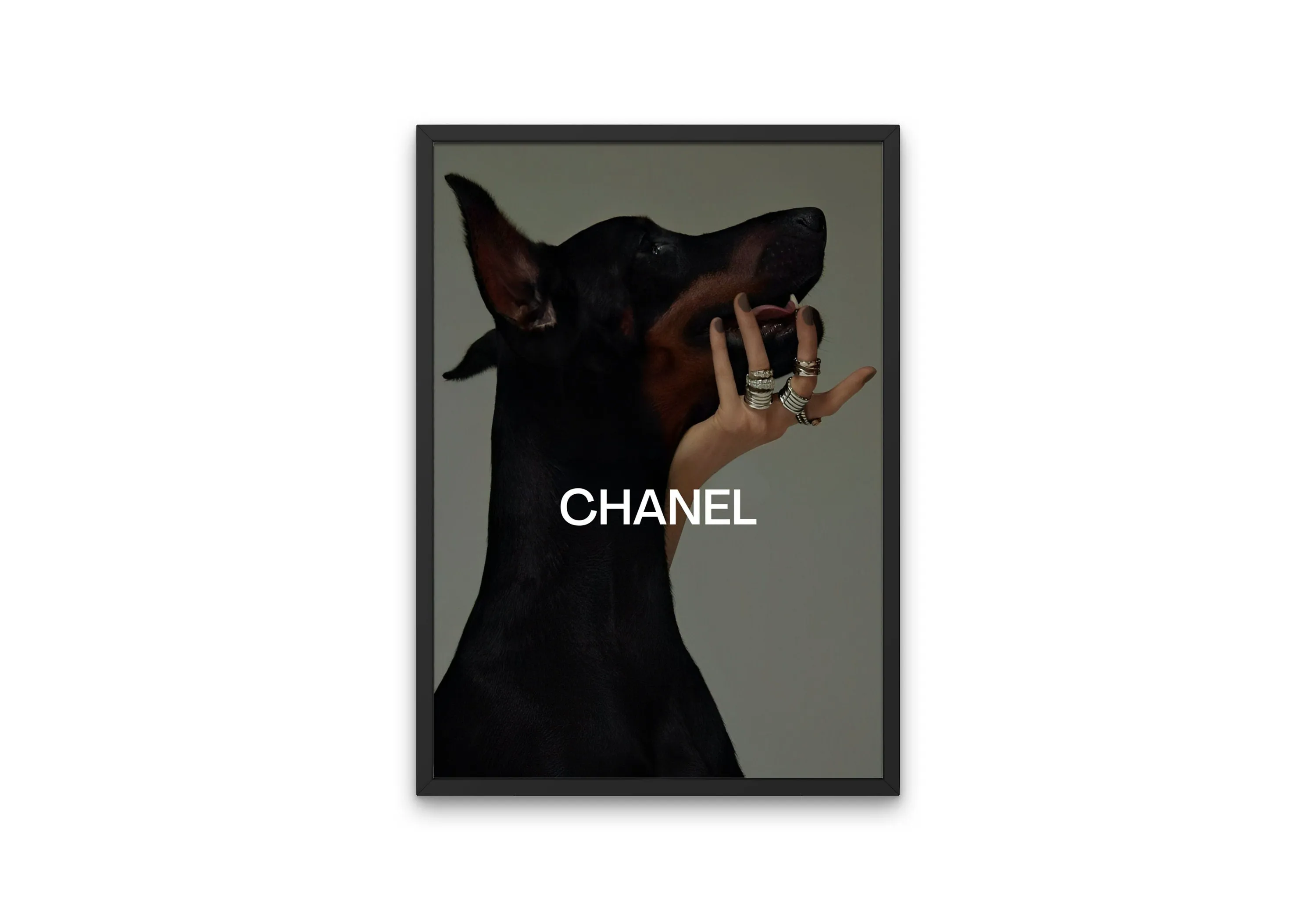 Luxury Fashion Doberman Poster PRINTABLE ART, Designer Wall Art, Digital Luxury Fashion Wall Art, Designer Dog Print, Doberman Poster, Hypebeast