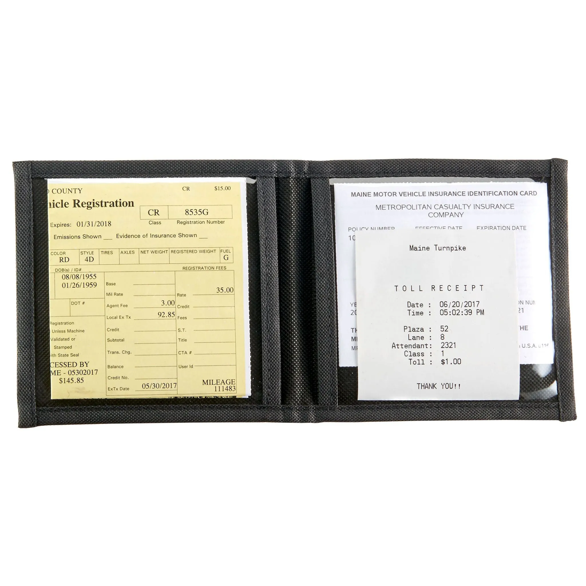 Visor Document Organizer